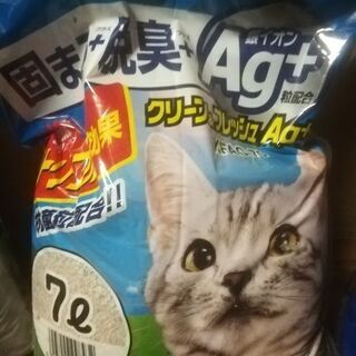 猫砂