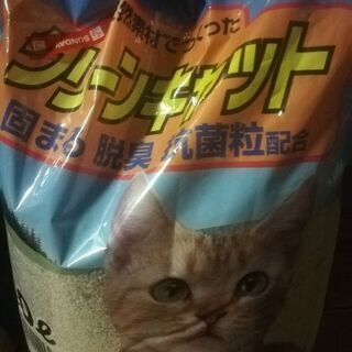 猫砂の画像