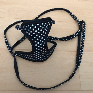 成猫サイズ ハーネスの画像