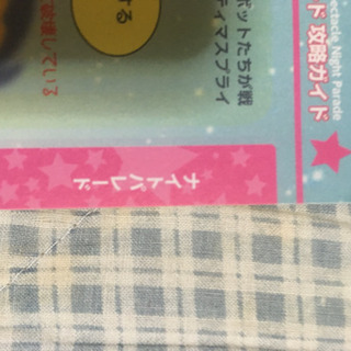 USJ 攻略本 ２０１９／3月  値下げしました。
