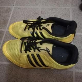 adidas　トレーニングシューズ