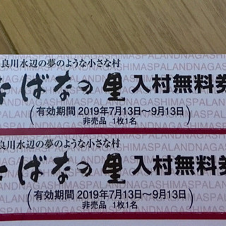 なばなの里 チケット 2枚セット