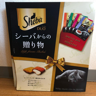 未開封箱売り 24箱セット シーバデュオ 楽天市場】キャットフード シーバ デュオ 200g 味のお試し5