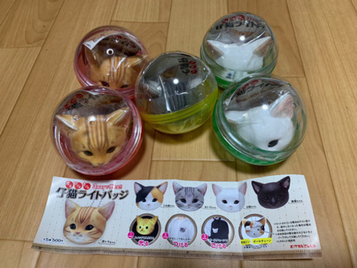 仔猫ライトバッジ 未開封 5個