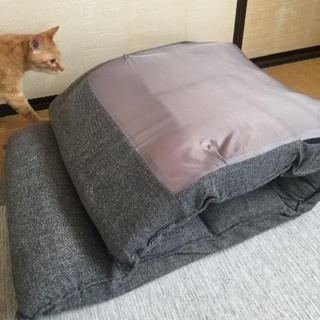 【無料 引き取り希望】ニトリの座椅子の画像