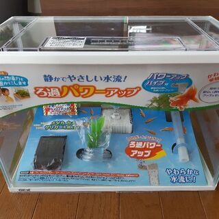 水槽の画像