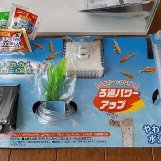 水槽の画像