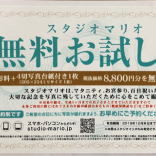 スタジオマリオのマタニティ、お宮参り、百日祝いなど8800円分の...