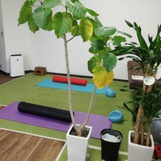 ♪朝活ピラティス♪〜正しい姿勢を手に入れ、身体の歪み・痛みを改善させます〜の画像