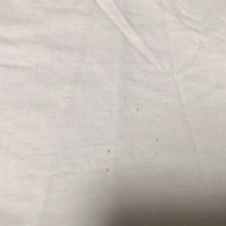 ディーゼルのTシャツの画像