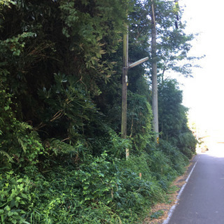 茨城県　つくばみらい市　草刈りアルバイト 残り枠あと‼️ 22名...