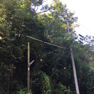 茨城県　つくばみらい市　草刈りアルバイト 残り枠あと‼️ 22名募集 急募‼️の画像