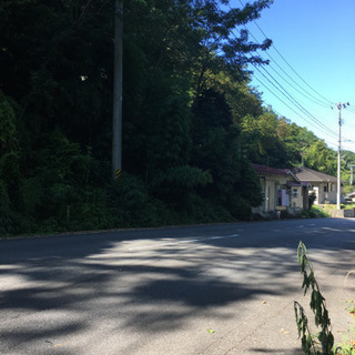 茨城県　つくばみらい市　草刈りアルバイト 残り枠あと‼️ 22名募集 急募‼️の画像