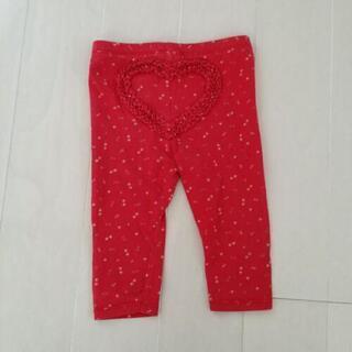 レギパン80の画像