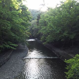 人生楽しみたいと思っている、信頼できる男女仲間募集します🏞️