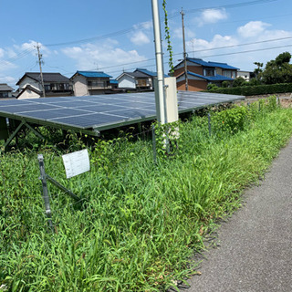 草刈り   シート敷き