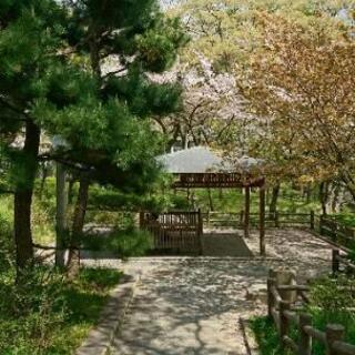 客室清掃(ベッドメイク)