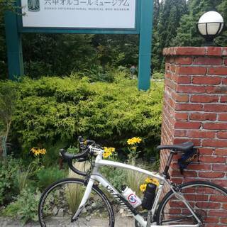 SPECIALIZED secteur comp
