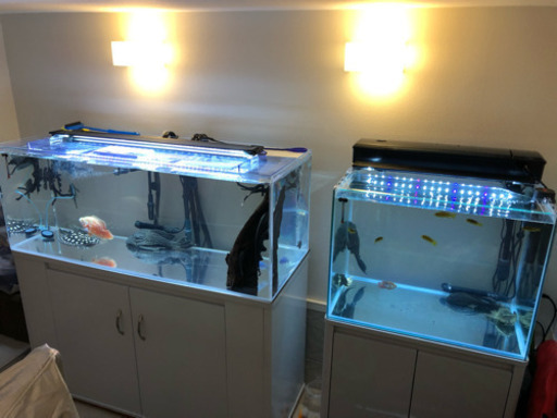 格安❗️美品❗️ 60×45×45 60cmワイド水槽 LED 上部フィルター　水槽台　4点セット