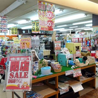 【閉店SALE】ペットショップ アルファ 閉店セール開催中！