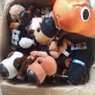 たくさんの犬ぬいぐるみの画像