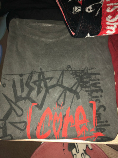LiSA グッズ お気に入りだった服達☆Msize☆