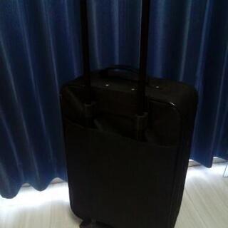 キャリーバッグの画像