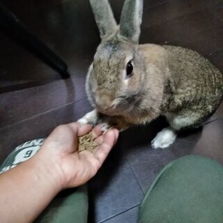水廻りでお困りないですか？