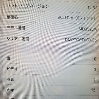 iPad Pro 9.7インチ Wi-Fi+Cellular 128GB