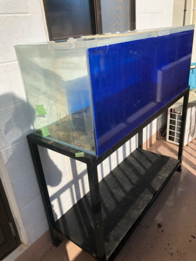 オールガラス水槽