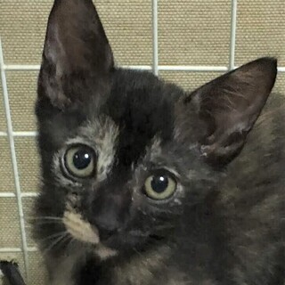里親決定☆ミドちゃん