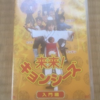 DVD2枚セットの画像