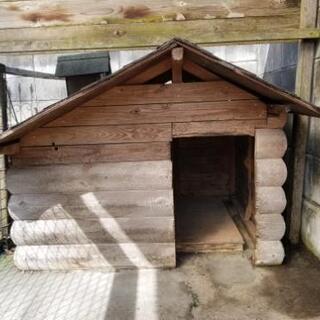 犬小屋
