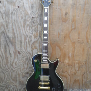 GRASS ROOTS GUITAR グラスルーツ レスポールカ...