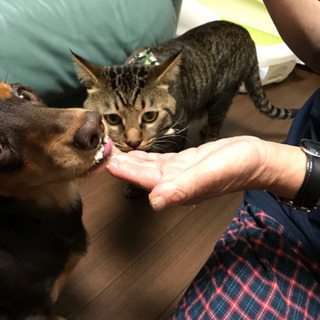 大切にしてくださる方。
