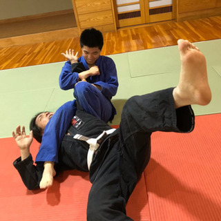 昼柔術サークル