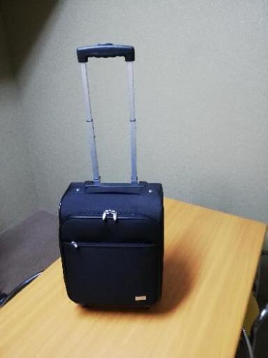 キャリーバック
