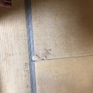畳。の画像