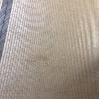 畳。の画像