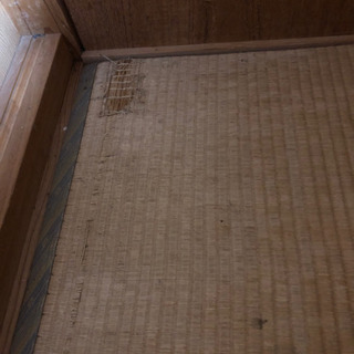 畳。の画像