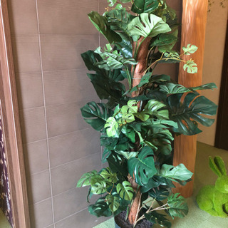 観葉植物(造花)※他にも色々載せてます♡︎