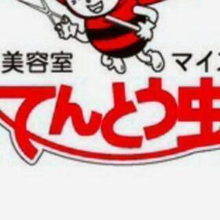 てんとう虫グループ神崎川店パートスタイリスト募集！の画像