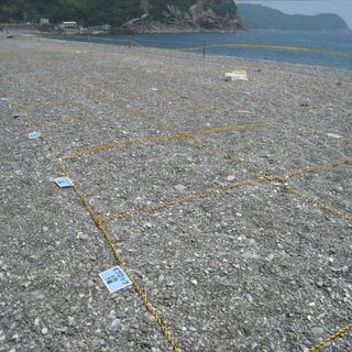 熊野大花火大会 2019 8月17日(土) 有料浜席 １マス席の画像