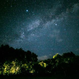 石垣島星のツアー