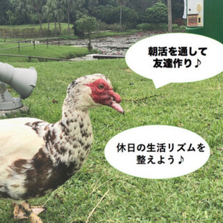＜理学療法士主催＞8/24新宿朝活多数参加予定♪ - 新宿区