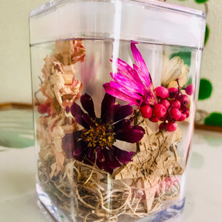 ⭐️大好評  ボタニカルソープボトル⭐️の画像