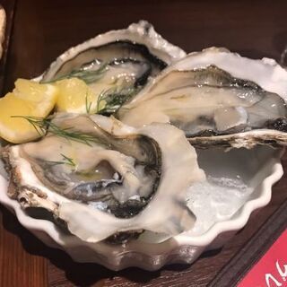 蒲田川崎　美味いもんツアーズ
