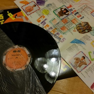 チェッカーズ＊LP盤＊レコード＊４枚の画像