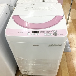 安心の6ヶ月保証付き！Panasonic全自動洗濯機2019年製5.0kg