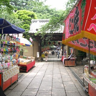 三島大祭り 同行者募集